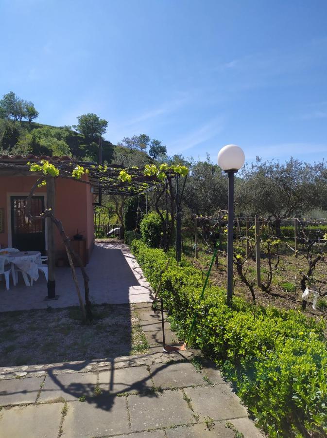 Il Vigneto "Cottage" Gaggi Bagian luar foto