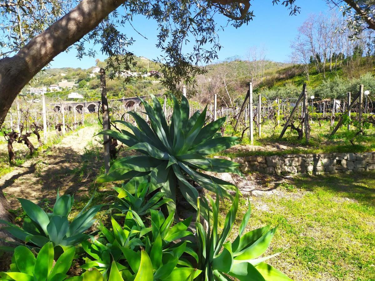Il Vigneto "Cottage" Gaggi Bagian luar foto