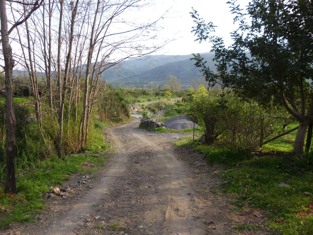 Il Vigneto "Cottage" Gaggi Bagian luar foto